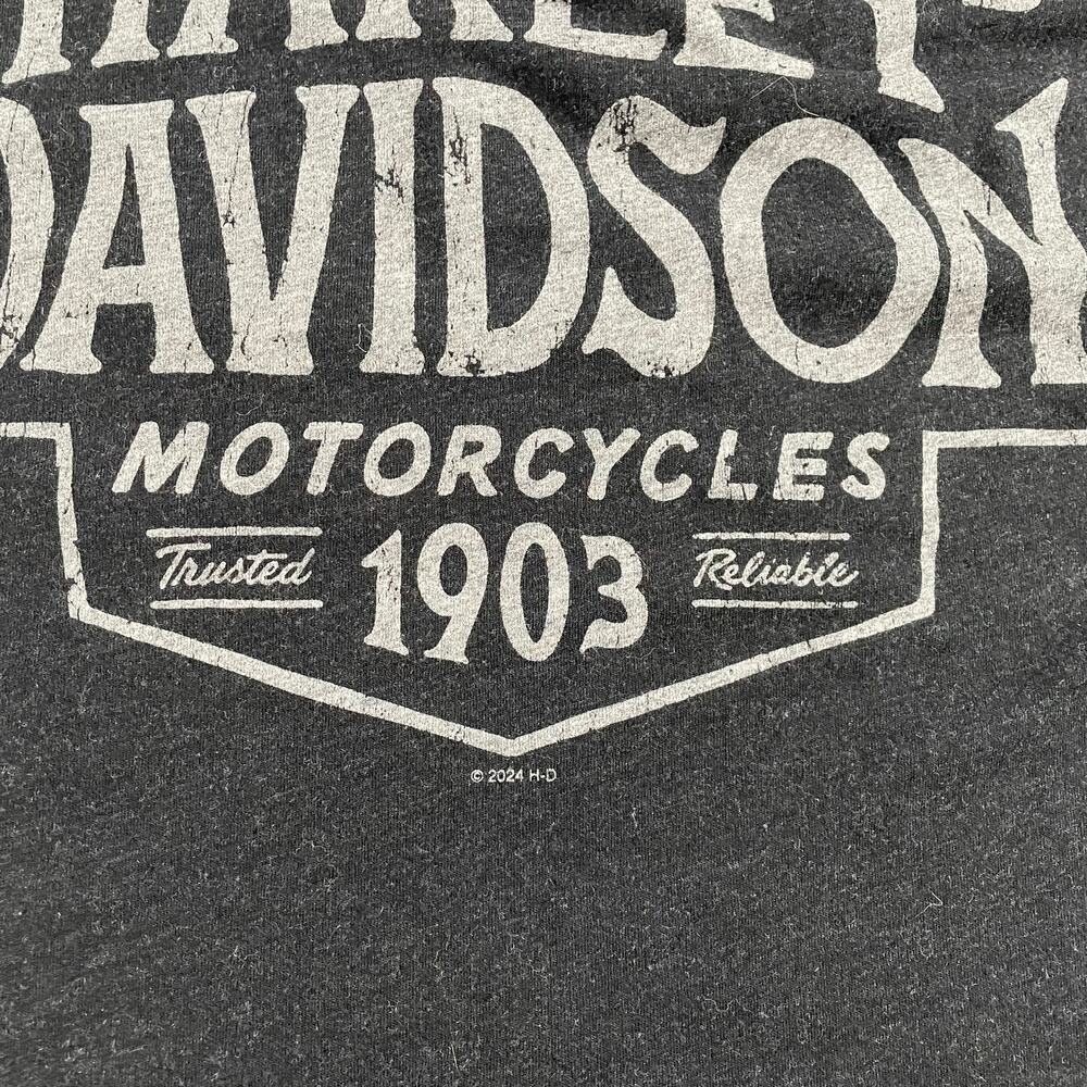 Harley Davidson Motorcycles Route 66 Biker T-shirt Medium - Picture 4 of 6